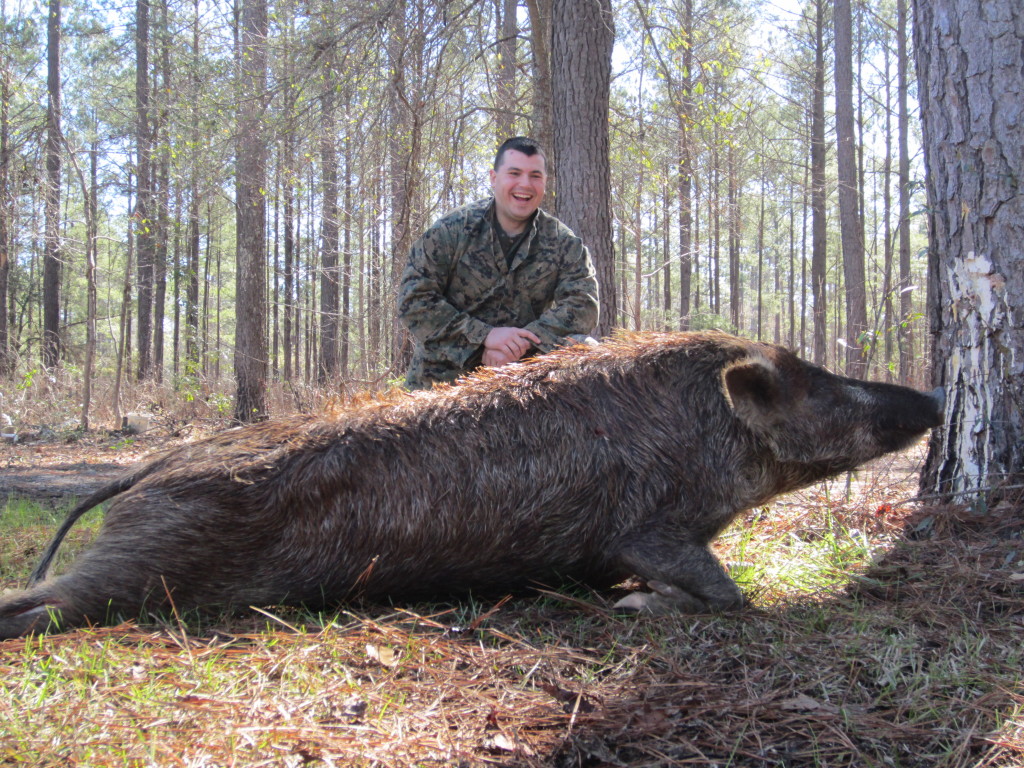 February is Hog Time.South Carolina, Cypress Creek Hunting Lodge